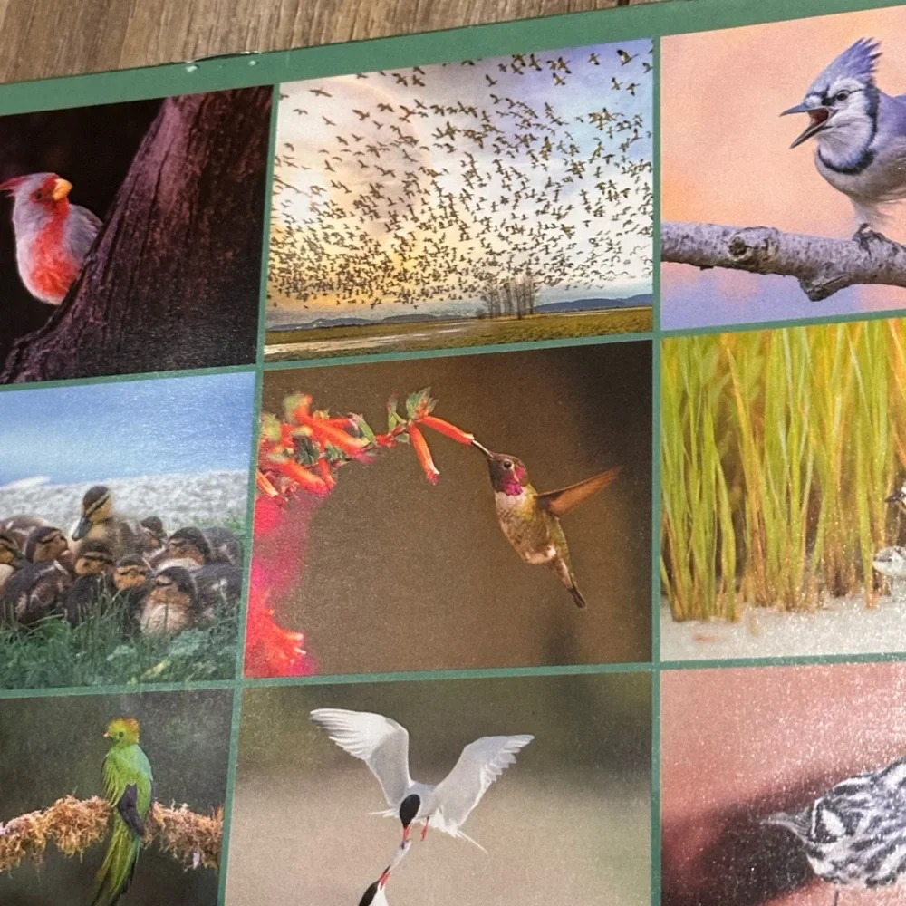 Audubon Society 2026 Protecting Birds & Nature 16 Month Calendar
